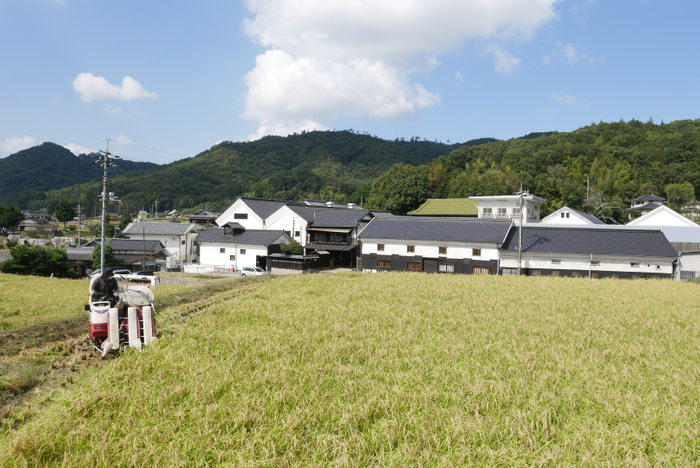 ふくいのブランド食材を使った特別メニュー登場！
福井美食フェア ～#福井ご縁の店で味わう～ 開催情報