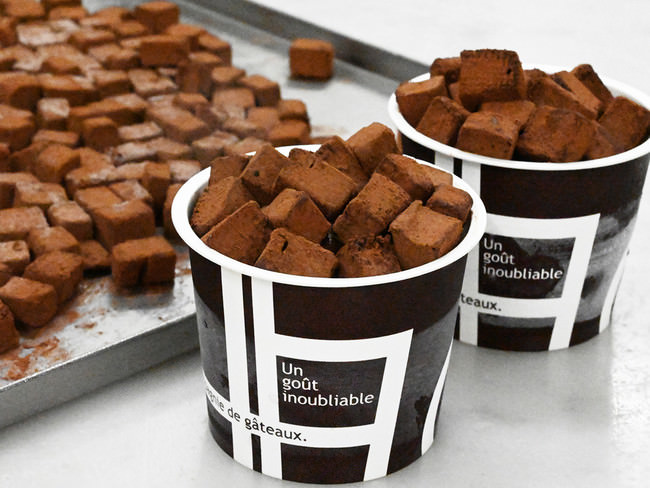 在日イタリア商工会議所主催　Made in Italy ワイン試飲会開催 ～DISCOVERY GALLERY 土着品種を発掘しましょう！～