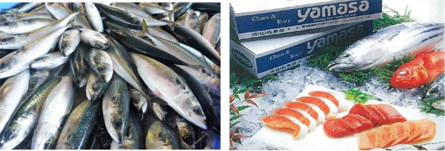 シートサービス“走る喫茶室”の歴史や伝統を伝える限定イベントがスタート　　　　　　　11月1日(月)～日東紅茶×ロマンスカーミュージアム「走る喫茶室MONTHLY」