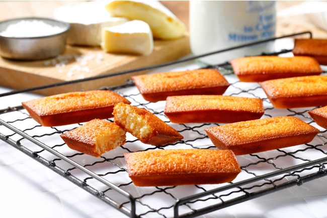 【通信教育講座・資格の「SARAスクールジャパン」】カフェを選ぶ上で内装を重視する人が多数！