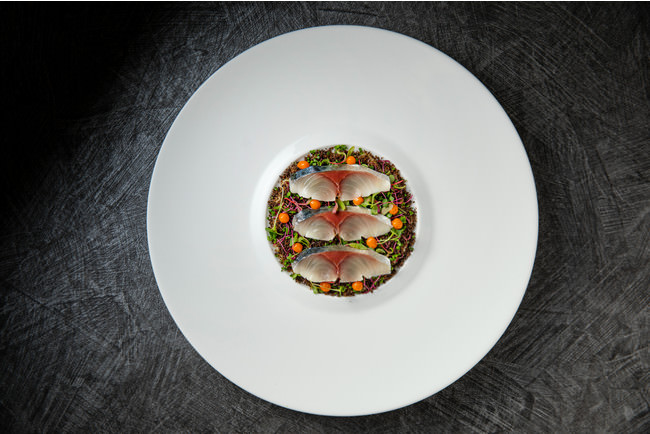 冷前菜「平兵衛酢(へべす)でマリネした寒鯖　熊本県産赤茄子と南高梅」