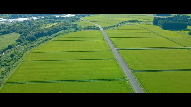 おいしさの理由は栃木県の気候にあった