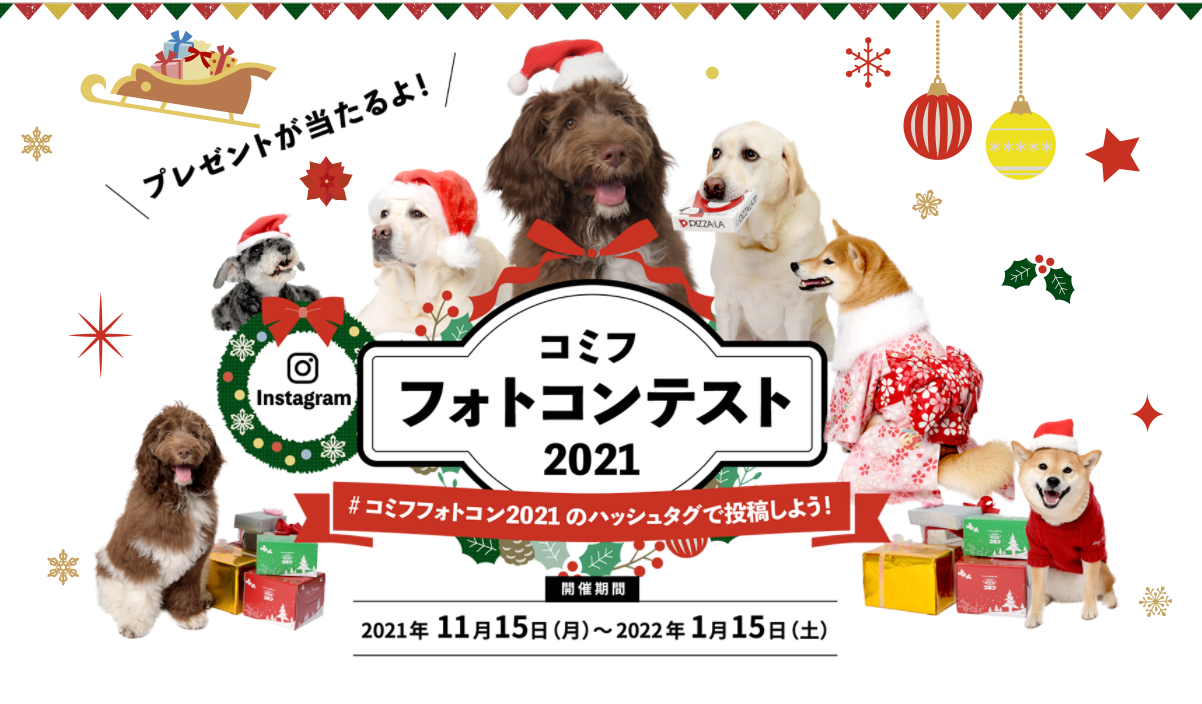 老舗うどん店が集結！讃岐・稲庭・水沢、3ヶ所の
日本三大うどんセットを11月15日から販売開始