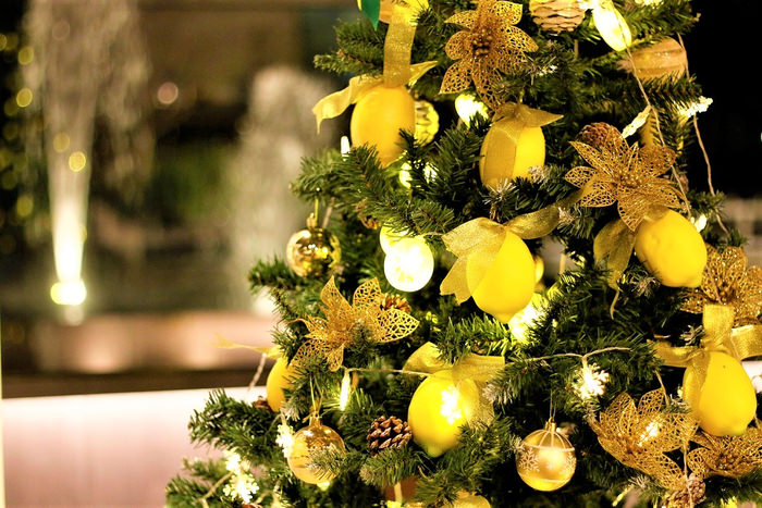 「月のホテル」1周年記念企画　第1弾！
【Green’s Green×月のホテル】苔を通じて、楽しみながら
酒田の緑化を考え進める『酒田FAIRMOSS 2021』を開催　
期間：2021年11月27日～12月18日