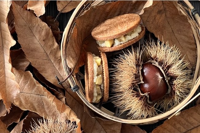 【ノエル気分高まる】とことんピスタチオなバスクチーズケーキや1日で完売した伝説のトリュフサブレ 南仏発「メゾンブレモンド1830」ノエル第1弾で登場