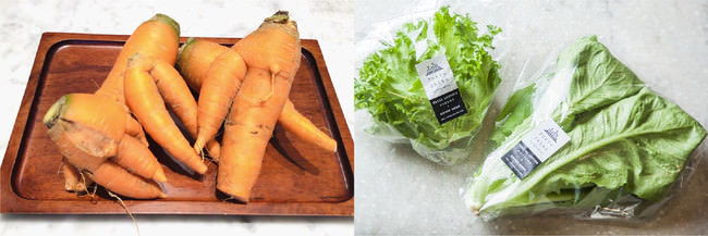 規格外品のにんじんと販売している野菜のイメージ