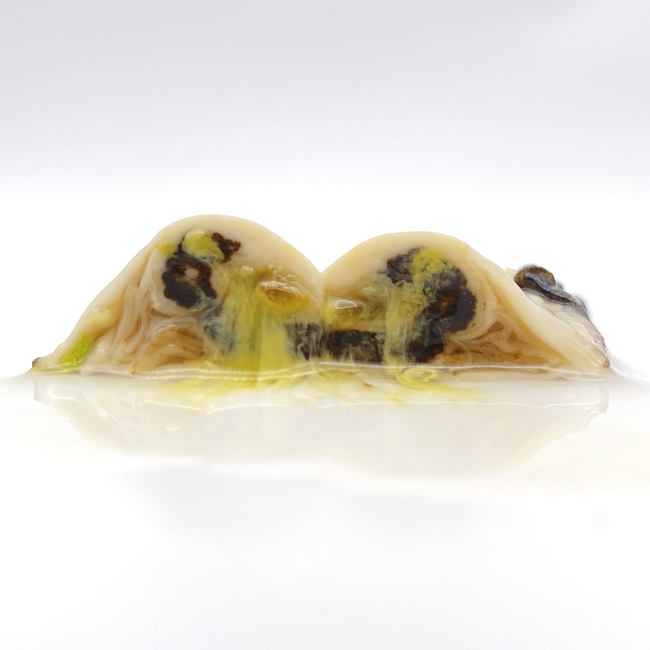 『大人の酒蔵留学』ついに解禁。全国の酒蔵と繋がり、学び、交流しよう！【酒蔵留学生募集中】