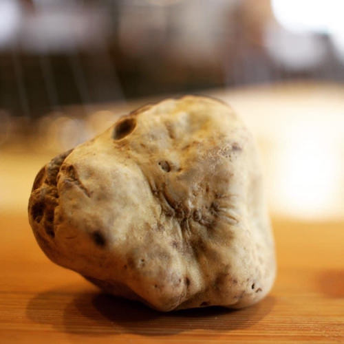 7周年を迎えたLINEスタンプで大人気のキャラクター
「うさまる」が食べマスに初登場！