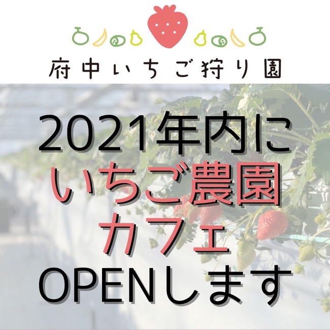 「東京チカラめし」香港３号店がオープンしました！！