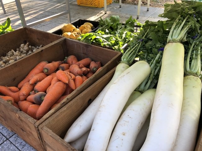 地場の採れたて新鮮野菜