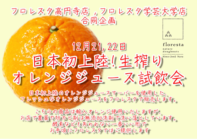 「小網代湾海底ワイン熟成プロジェクト」事業本格始動！過去最多1,700本を沈下します！