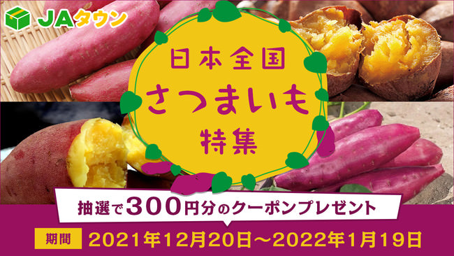 【新年限定・新商品】芋屋金次郎が縁起のよい名の三種のお芋を使った「福よせチップ」を新年から限定販売！