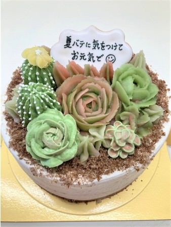 多肉植物好きの方へ贈る