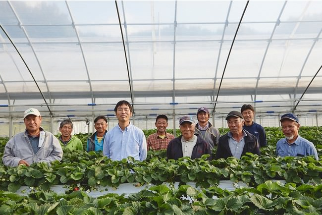 奈良県明日香村のいちご生産者の皆さん
