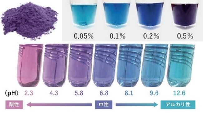 バタフライピーエキスパウダーの性状