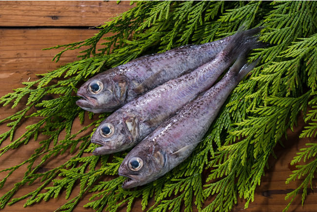 タカラ「焼酎ハイボール」＜和歌山産はっさく割り＞酒質リニューアル新発売