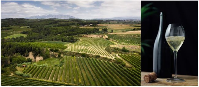 ＜フランチャイズ3号店＞ポークたまごおにぎりカフェ前橋店　12月25日 グランドオープン