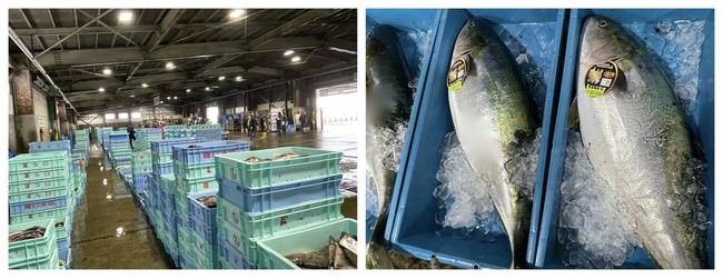 福島・喜多方のカフェ&スイーツ「Cocco tree」にクリスマス限定のパンケーキが登場!