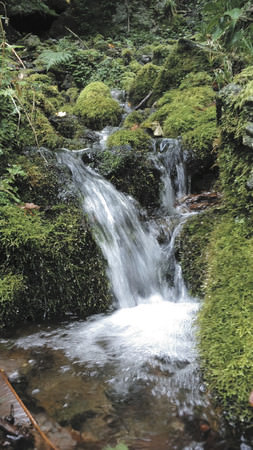 南魚沼の水源（イメージ）