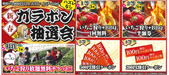 「プラズマ乳酸菌」入り飲料が上方修正した年間販売目標を達成！