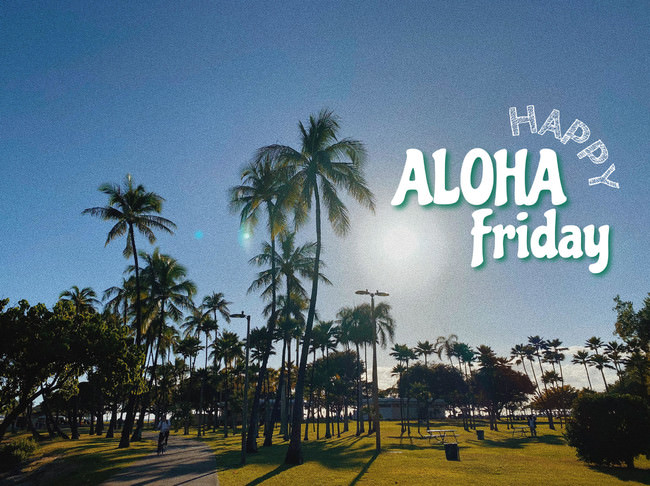 【Nadia Artistシリーズ第8弾】cotoさん初のレシピ本『cotoの家族が喜ぶおうちごはん』が発売