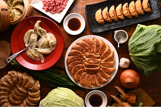 〈餃子の馬渡〉馬渡のもっちり餃子　（10個入）　税込７５６円