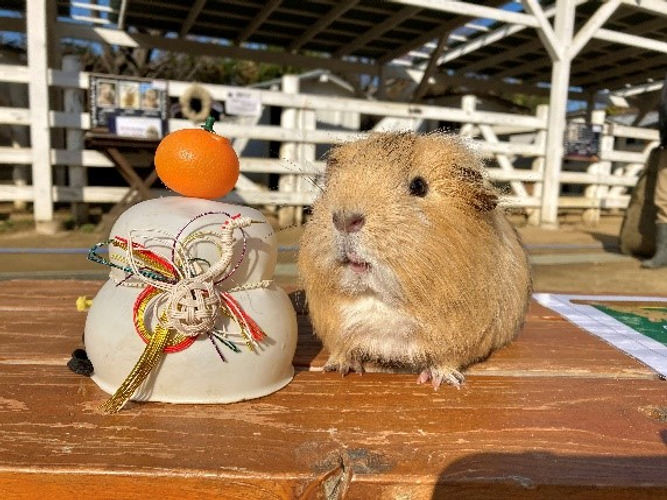 ~自分へのご褒美 Luxury Time~
“いちごまみれ”の Strawberry Afternoon Tea