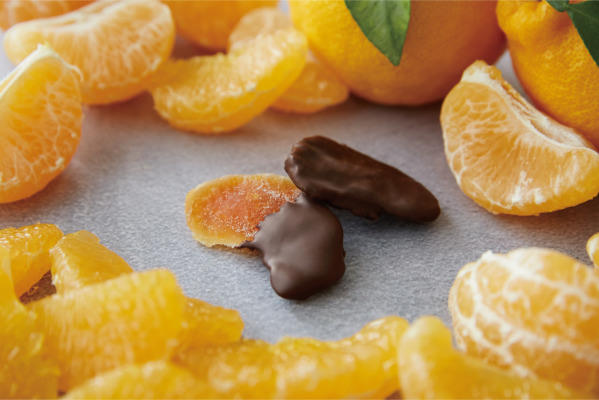 ふるさと納税「年末駆け込み」をする人に気を付けてほしい6つのことを発表【2021年】