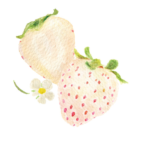 ＜「富久長」×APHDによる新年の寿ぎ＞特別誂えの直汲み本生・純米吟醸「ubu」で2022年のスタートを！