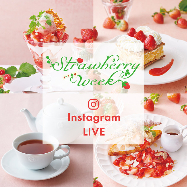 Instagram LIVE企画イメージ