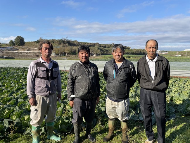 三浦市　キャベツ生産者　高清会の4名 左から鈴木健一氏、清水孝之氏、加藤直樹氏、鈴木靖浩氏