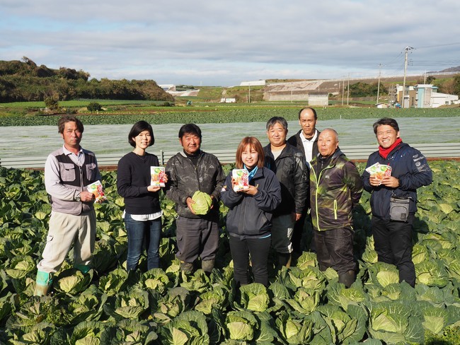 三浦市のキャベツ生産者4名、JA三浦、石井食品の社員