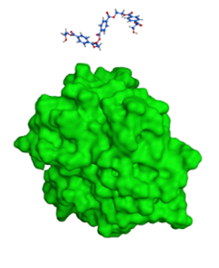 挑戦し続ける蔵、西酒造。完売が続く人気ブランド『別誂仕込』の第3弾として 1,000本限定の日本酒『No.001 NIHONSHU』の予約販売を開始
