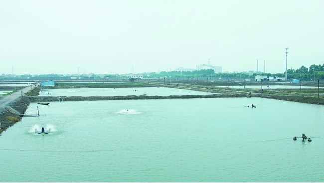 ▶自然に近い環境で、のびのびすくすく育てています。