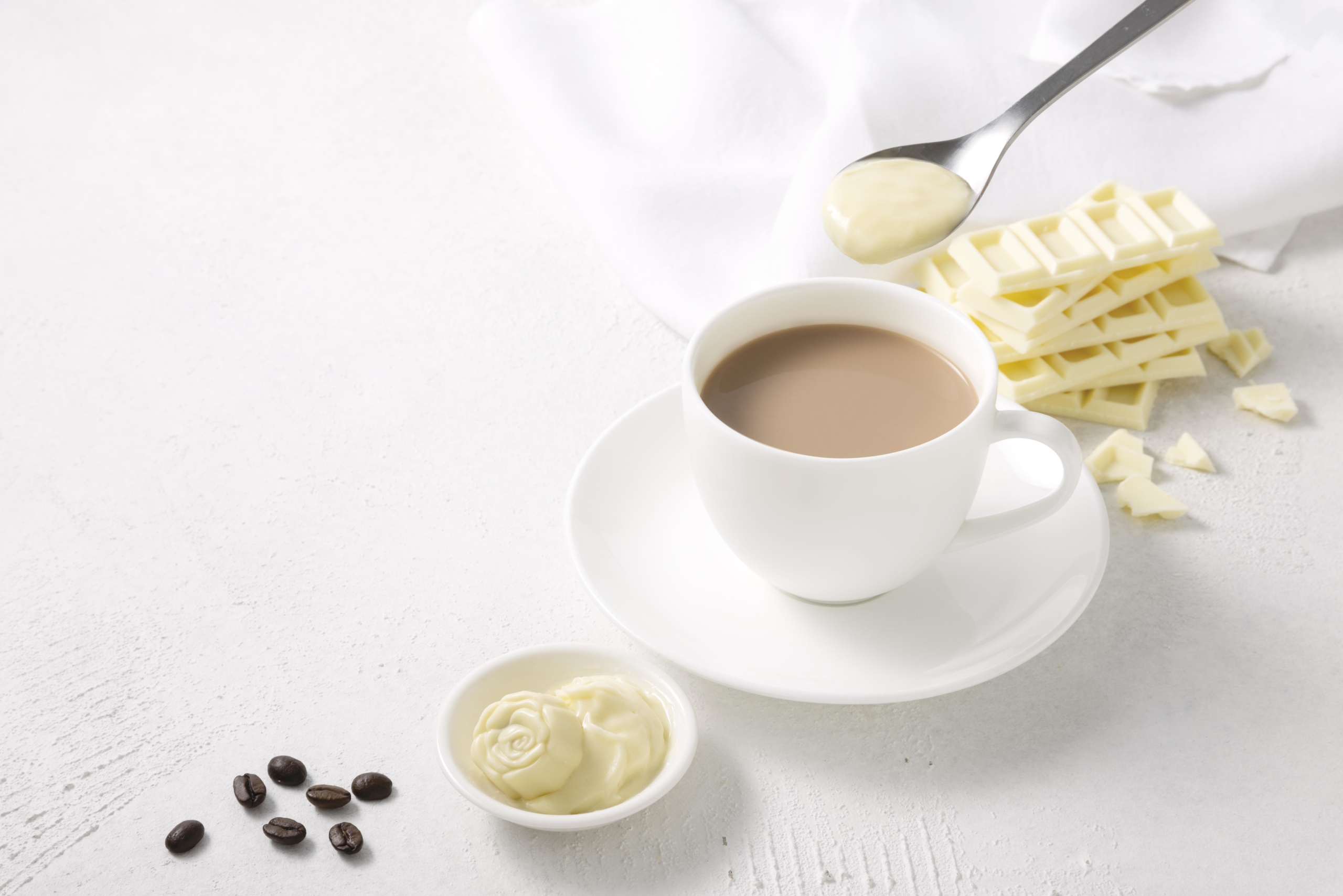 京都の若手トップシェフと漁師がコラボ　
1月31日に京都の海の魅力を伝える料理を発信