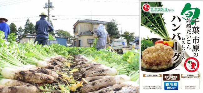 千葉市原の姉崎だいこんおろしソースハンバーグ