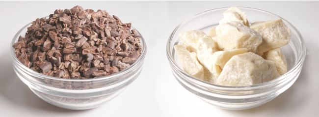 左カカオニブ、右カカオバター