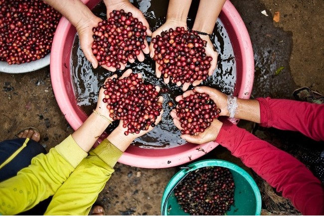 ジャパン・フード・セレクション金賞受賞！こめ油×米粉のcome×come「もっちりフィナンシェ」