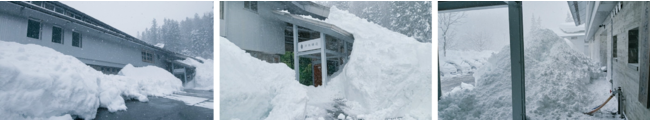津南醸造 2022年1月中旬の積雪状況