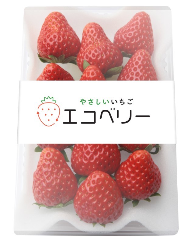 こだわりのクラフトチョコレートが「メルカリShops」で買える「発掘！日本のクラフトチョコレート特集」開始