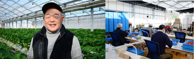 大丸心斎橋店プレゼンツ　究極のおうち行事節分は、家族それぞれの「推し恵方巻」で楽しむ　〜ヒット作から定番、有名店の味、高級新作、個性ネタまで〜