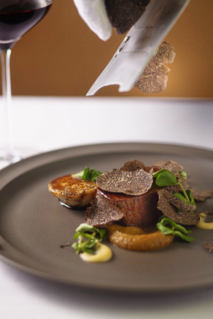 ガストロノミーコースの肉料理“エゾシカのロースト ごぼうのピューレと香ばしく仕上げたバルサミコソース”のイメージ