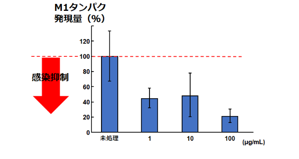 図2：タイム熱水抽出物の培養細胞に対する感染抑制メカニズム　（A）ウイルス吸着後の感染抑制評価試験