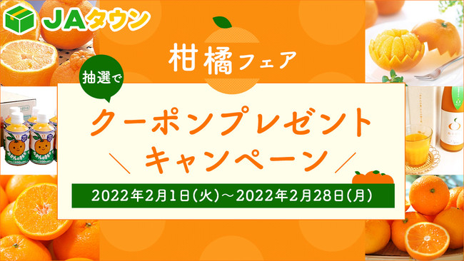 【限定100枚】日本トップクラスのパティシエ・林巨樹×Z世代に人気のフラワーブランド・HANARIDAのコラボで誕生した「咲茶チョコレート」。バレンタインのギフトにもどうぞ！