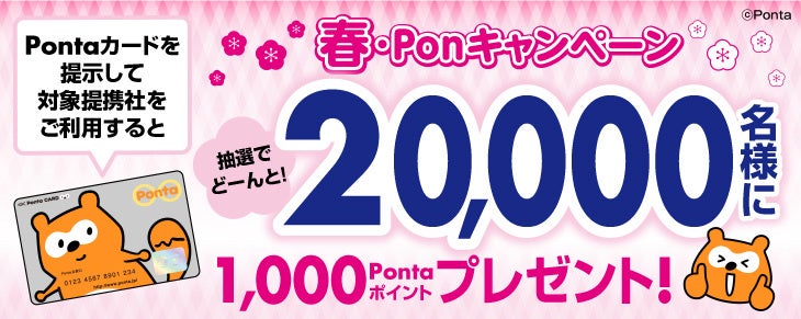 2/22は猫の日！クラフトビールのサブスク「Otomoni(オトモニ)」が猫のエコバックと猫好き用袋麺、猫コースター同梱のクラフトビールセット「オトモにゃんセット」を2/1から発売開始