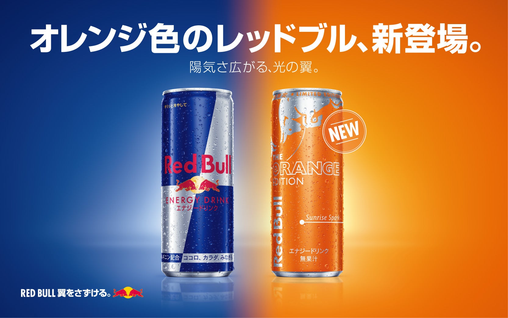 【高知県四万十町】四万十ポークと生姜を使った食の祭典開催！町内参加店舗21店舗で2022年３月末まで