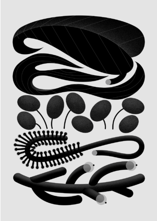 旧正月限定コーヒー「初釜 将軍珈琲」販売！