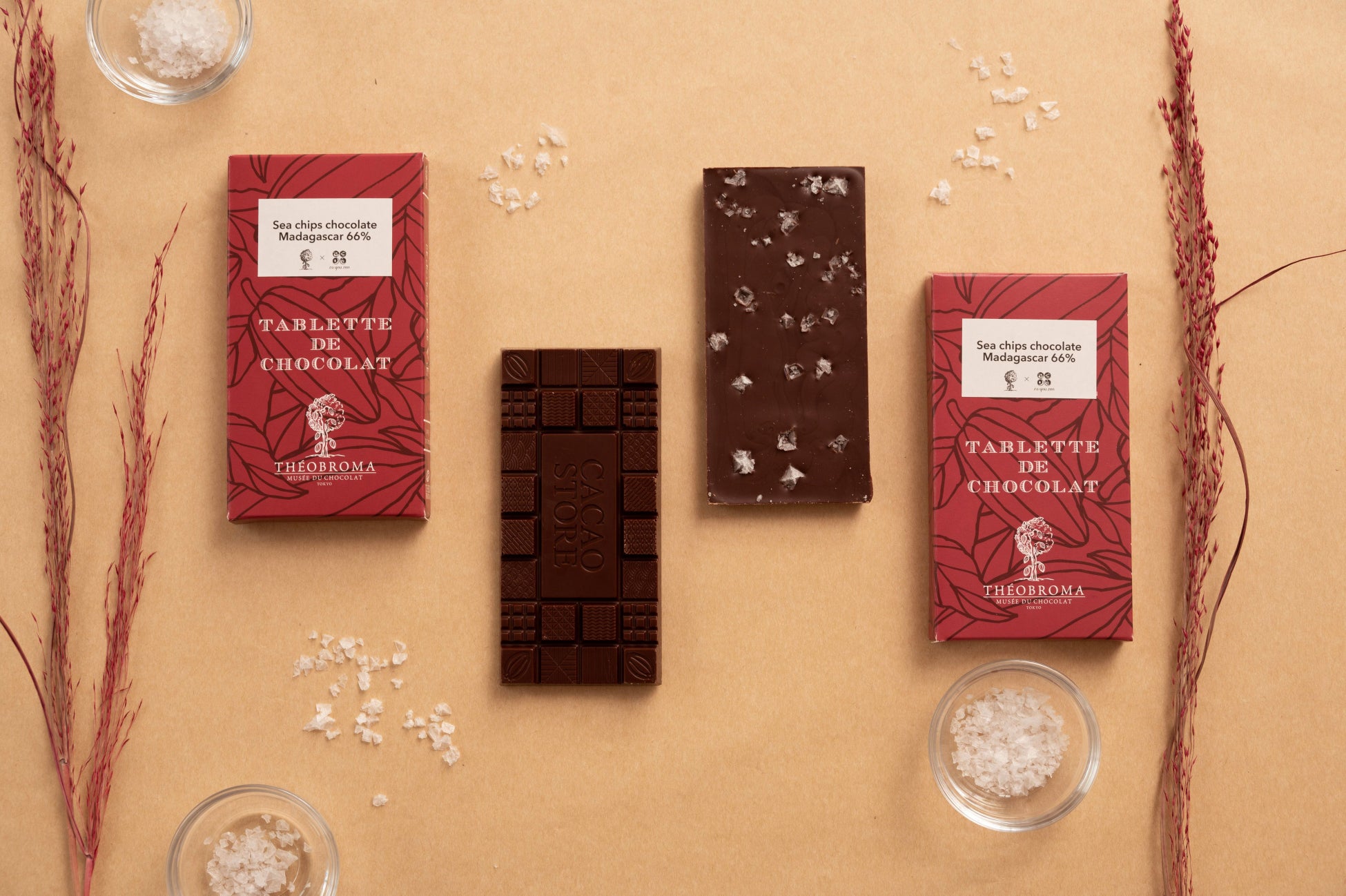 日本を代表するショコラティエ「テオブロマ」土屋氏とコラボ！フレーク状の塩がアクセント「Sea chips chocolate」2月8日(火)新発売！