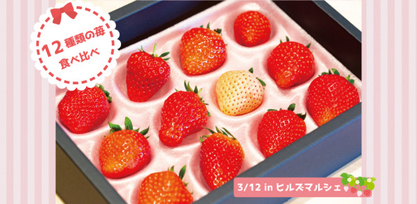 「ゴディバカフェ」、人気のパフェをリニューアルし2月より販売開始！チョコレートをたっぷり使いつつも、甘すぎない大人の味わいに