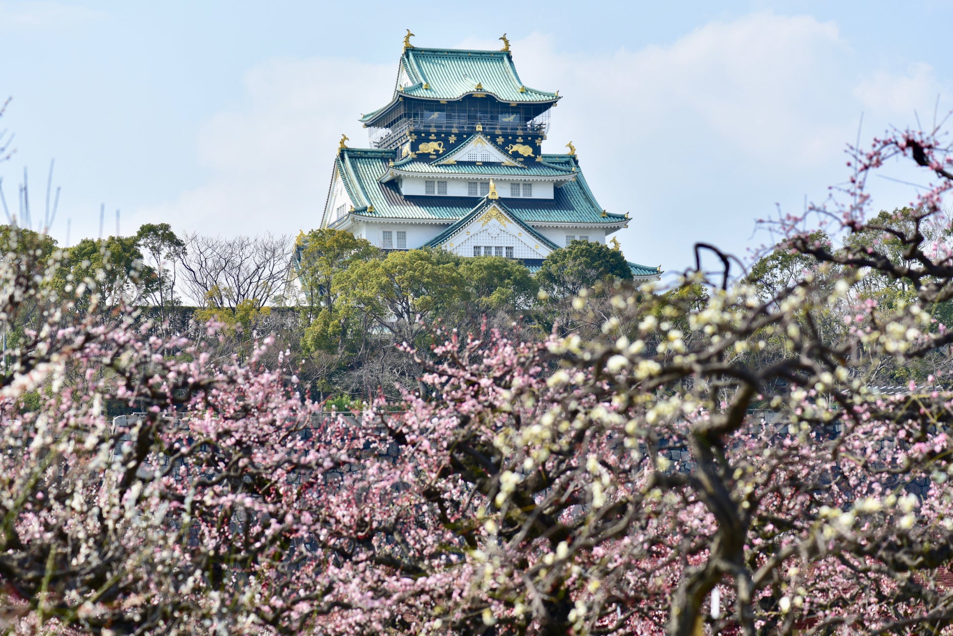 岩下の新生姜ミュージアムでピンクの桜をモチーフにした季節イベント『お花見・桜フェスティバル2022』を4月10日まで開催